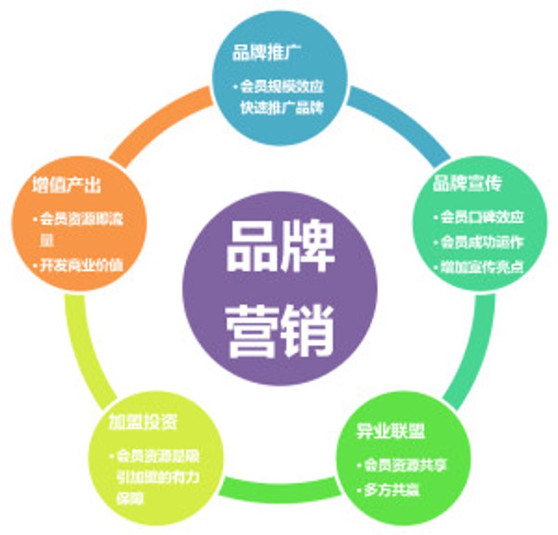 软文营销:打造品牌故事的力量