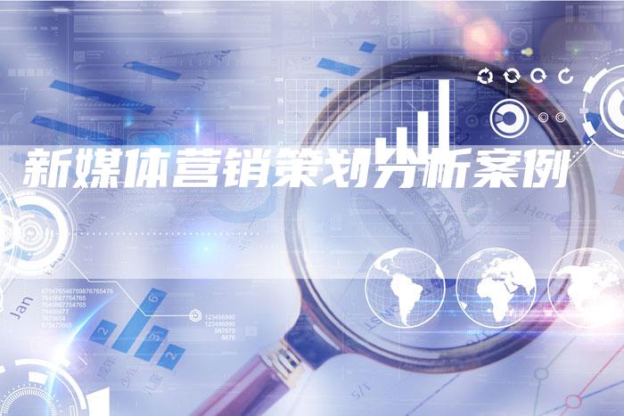 新媒体营销策划分析案例