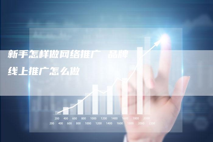 新手怎样做网络推广 品牌线上推广怎么做-直编软文营销网