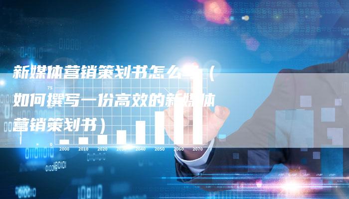 新媒体营销策划书怎么写（如何撰写一份高效的新媒体营销策划书）