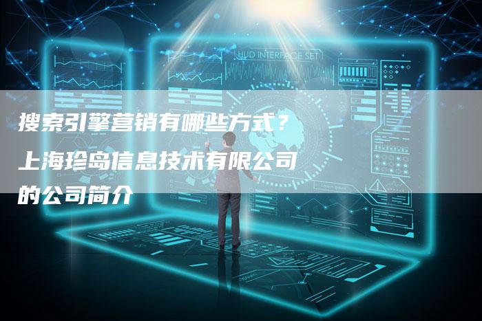 搜索引擎营销有哪些方式？上海珍岛信息技术有限公司的公司简介-直编软文营销网