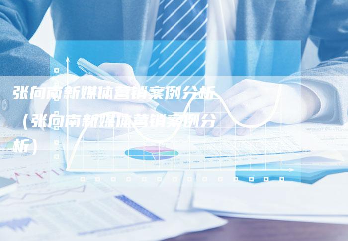 张向南新媒体营销案例分析（张向南新媒体营销案例分析）