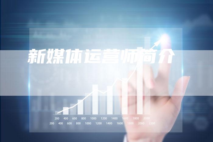 新媒体运营师简介