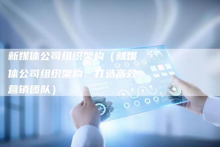 新媒体公司组织架构（新媒体公司组织架构：打造高效营销团队）-直编软文营销网