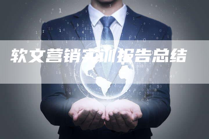 软文营销实训报告总结-直编软文营销网