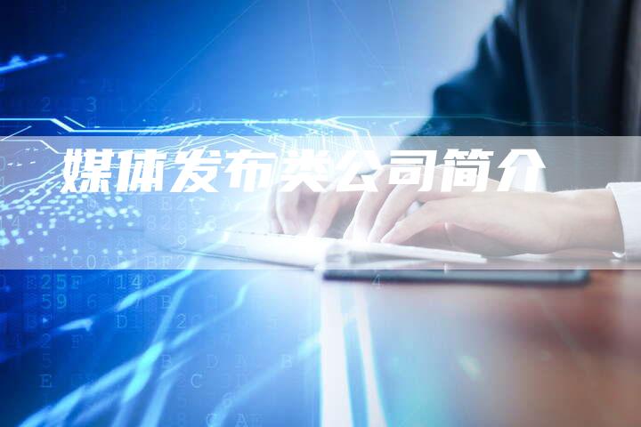 媒体发布类公司简介
