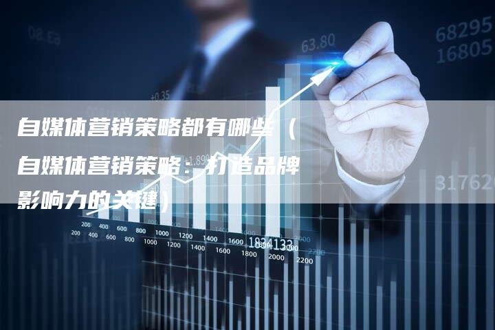 自媒体营销策略都有哪些（自媒体营销策略：打造品牌影响力的关键）