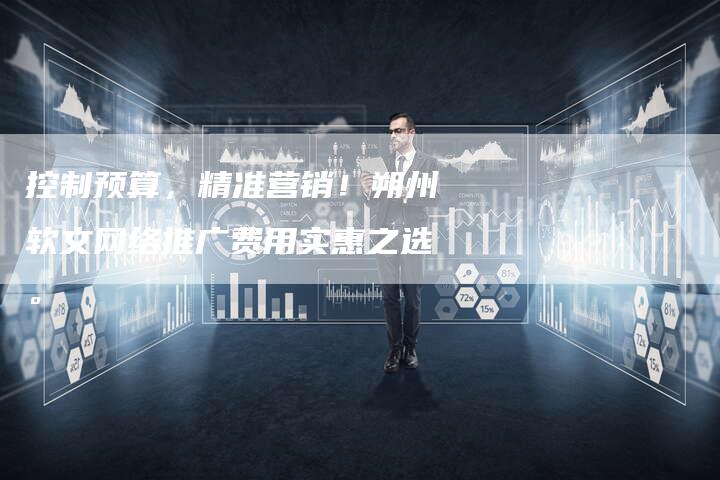 控制预算，精准营销！朔州软文网络推广费用实惠之选。