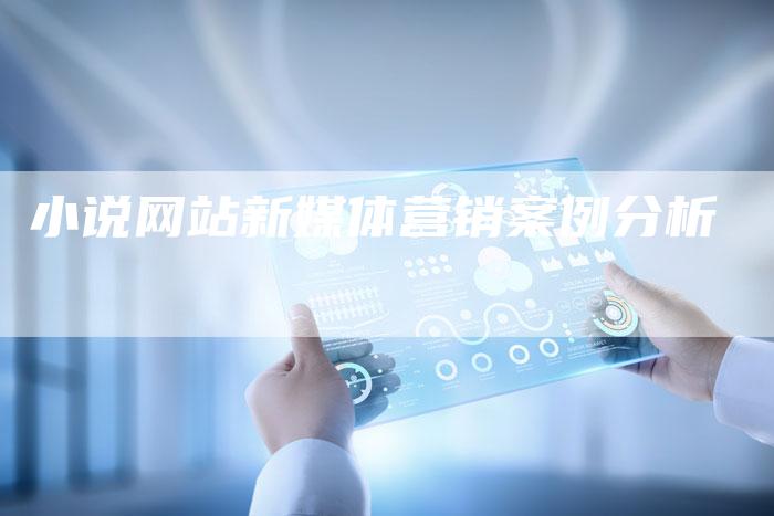 小说网站新媒体营销案例分析